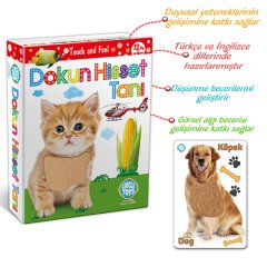 Dokun Hisset Tanı
