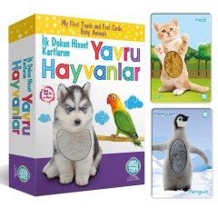 Dokun Hisset Tanı-Yavru Hayvanlar