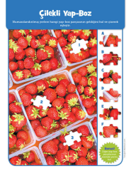 Jumbo Kitap Dikkat Geliştirici Aktiviteler
