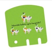 Zeka Kutusu 16-24 Ay