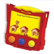 Zeka Kutusu 16-24 Ay