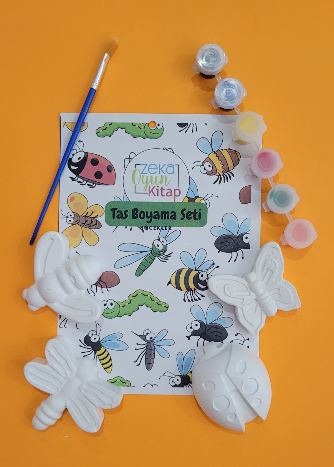 TAŞ BOYAMA BÖCEKLER SETİ