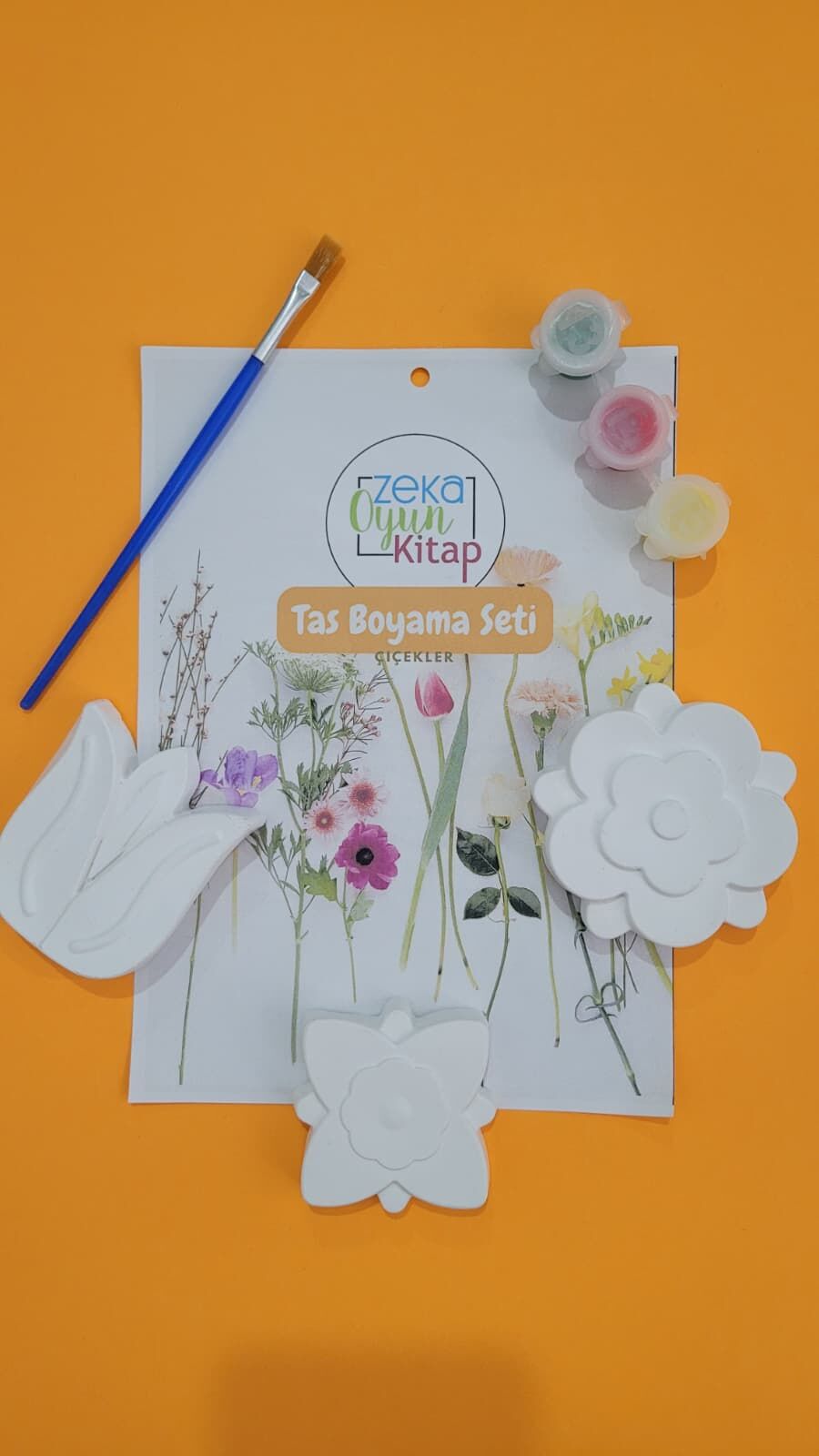 TAŞ BOYAMA ÇİÇEKLER SETİ